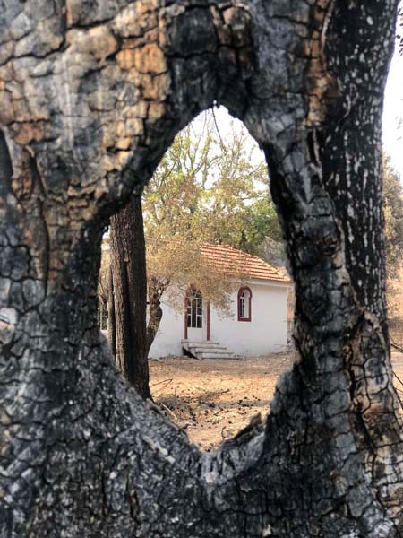 Εικόνα Ανάρτησης
